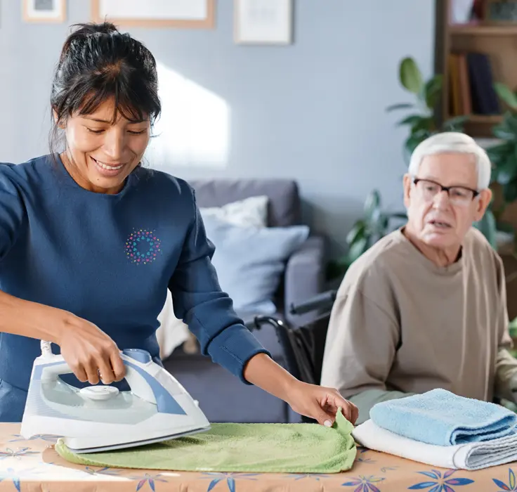 Domestic assisteance section