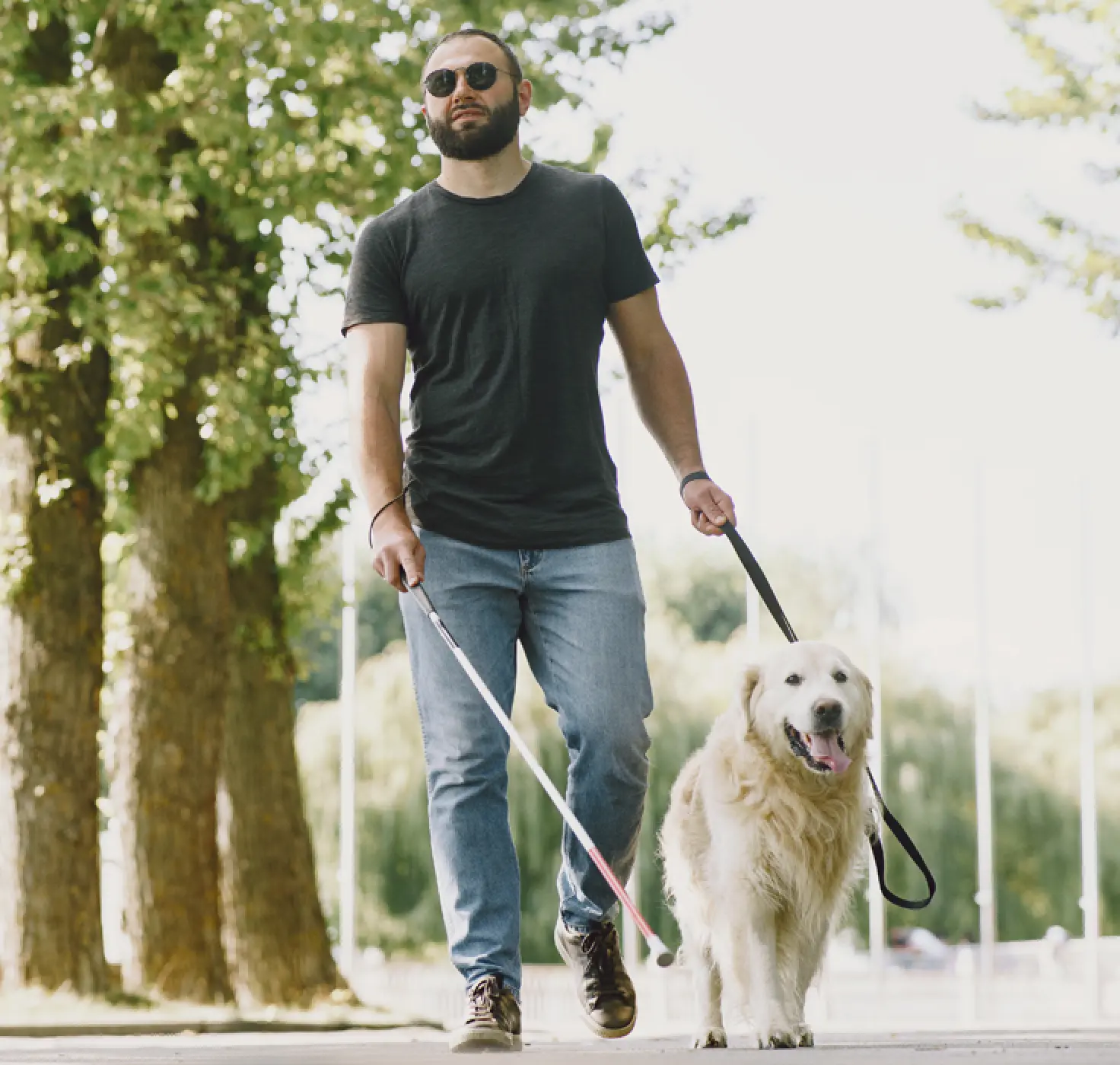 services ndis renaming img