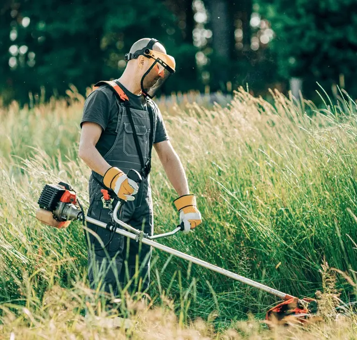 yard maintenance ndis