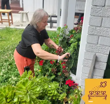 Yard Work